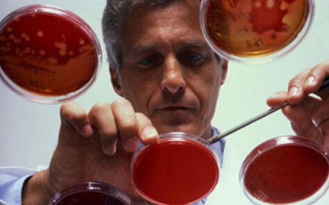 PCRM Finds Buffalo Chicken Contains Fecal Matter