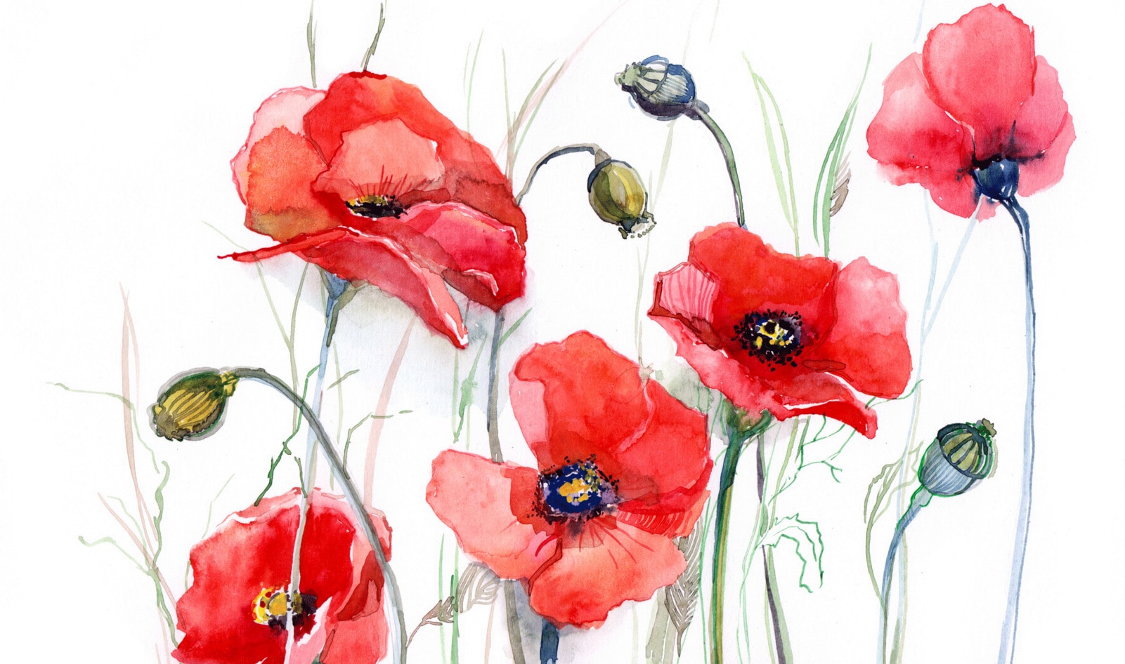 Portland Shop Creates Gelatin-Free Vegan Watercolor Paper