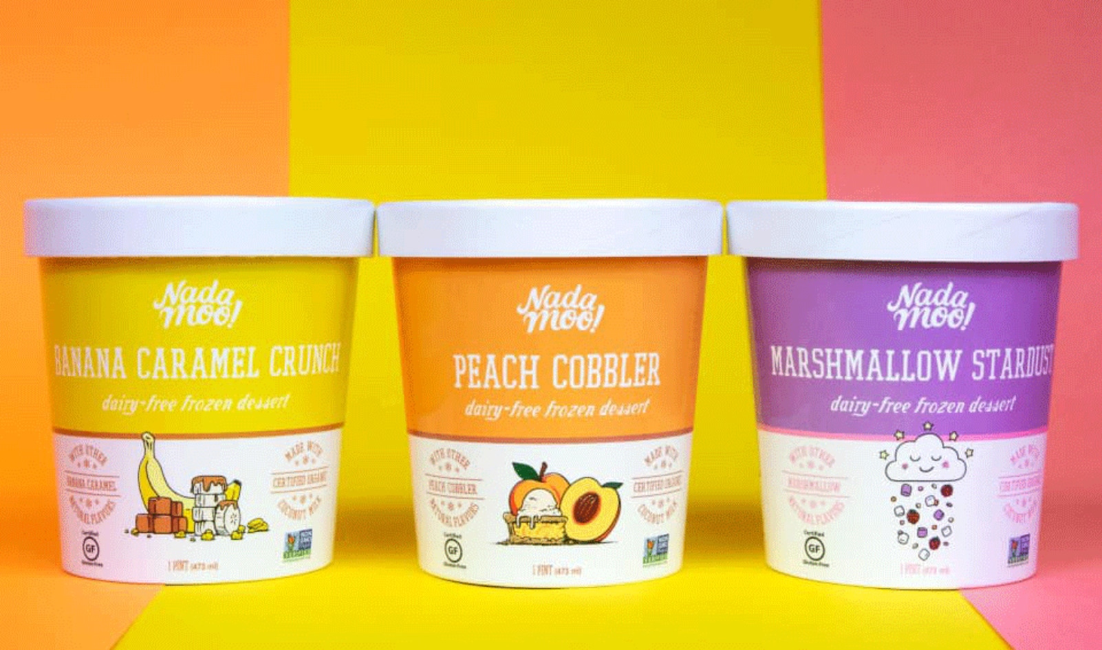 Vegan Ice Cream Brand NadaMoo! Debuts at Target and Walmart 