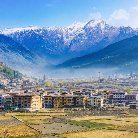 9 Reasons Why Vegans Should Visit Bhutan