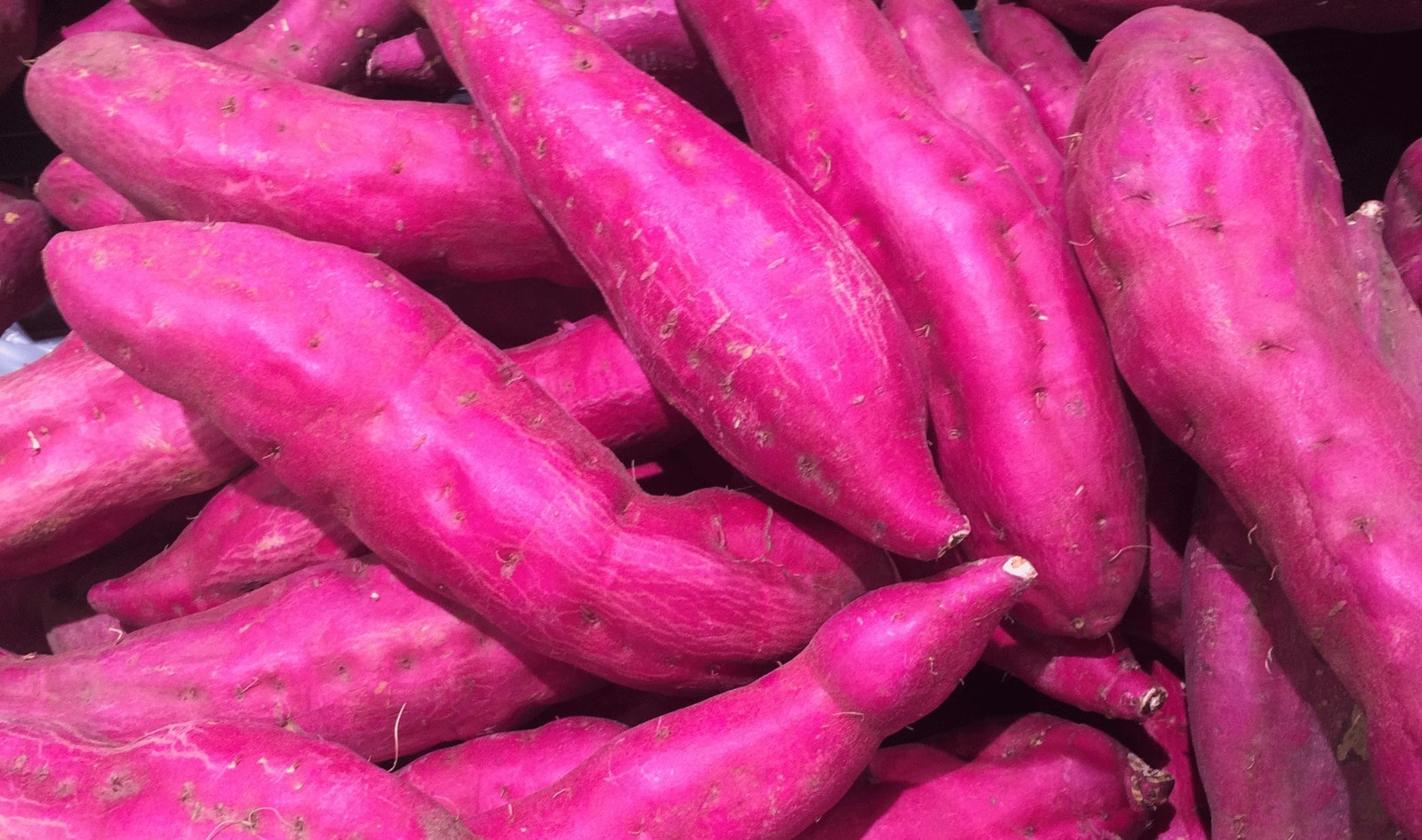 Fiery Red Sweet Potatoes to Replace Crushed Insect Bodies as Food Coloring