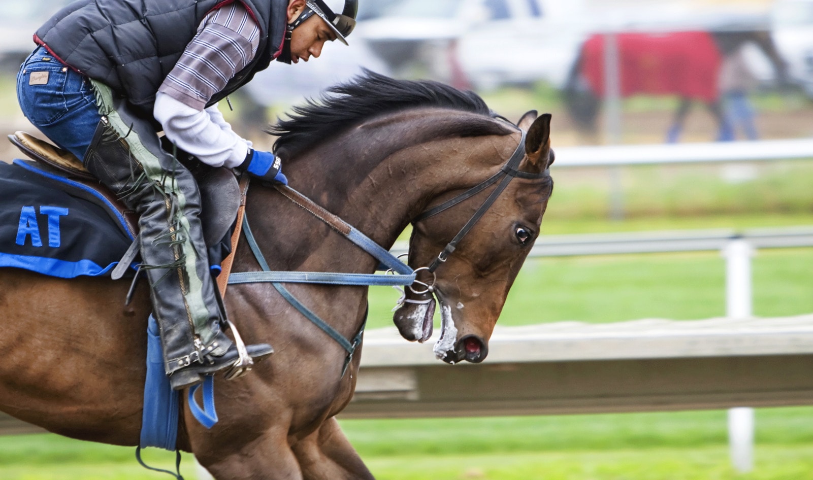 Santa Anita Race Track Shuts Down After Death of 23rd Horse in Two Months