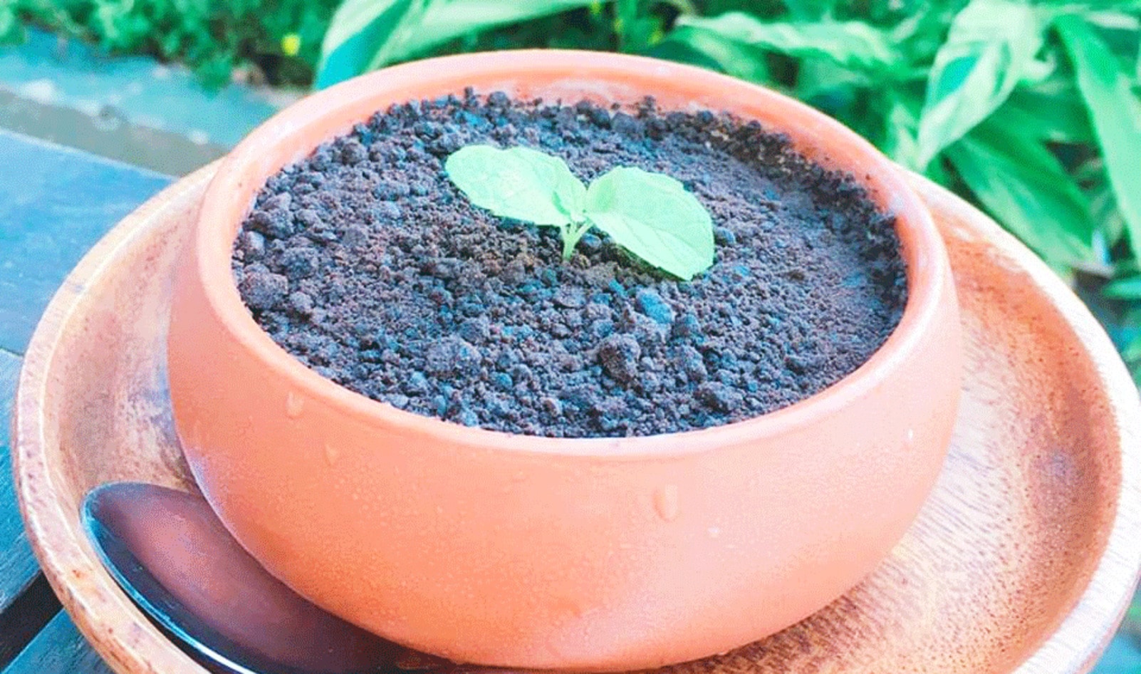 This Potted Plant Is Actually Vegan Dessert 