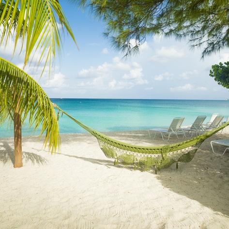 The Ultimate 48-Hour Vegan Guide to the Cayman Islands