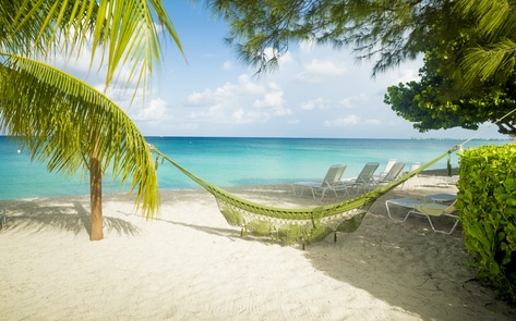 The Ultimate 48-Hour Vegan Guide to the Cayman Islands