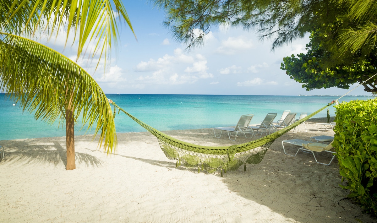 The Ultimate 48 Hour Vegan Guide To The Cayman Islands Vegnews