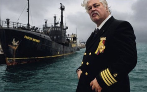 Japan Attempts Whale Wars Takedown