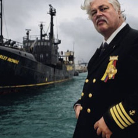 Sea No Evil Art Show