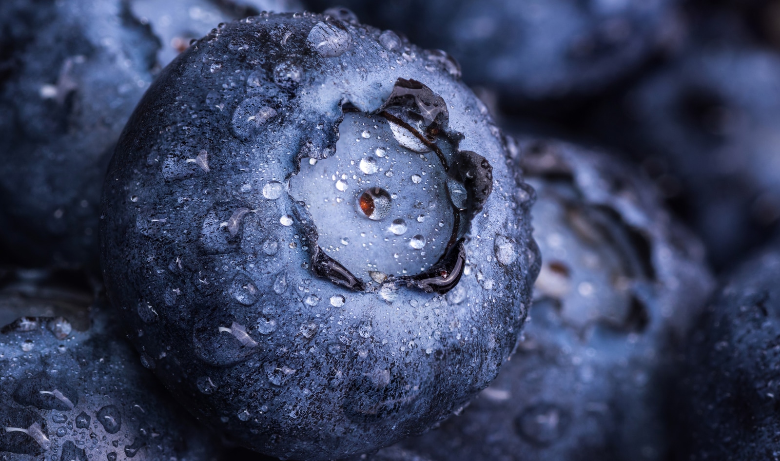 Blueberries Rival Prescription Drugs in Lowering Blood Pressure