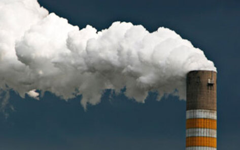 Eat Less Meat to Combat Climate Change