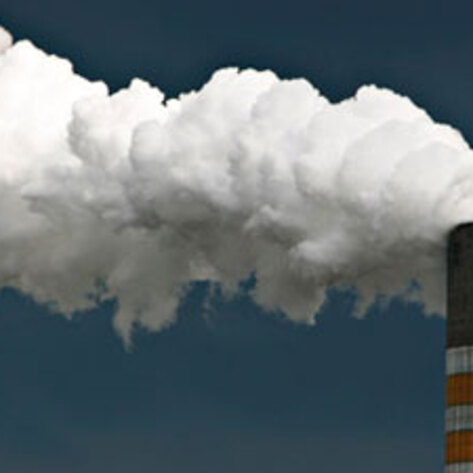 Eat Less Meat to Combat Climate Change