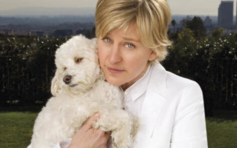 Ellen DeGeneres Makes December A No-Kill Month