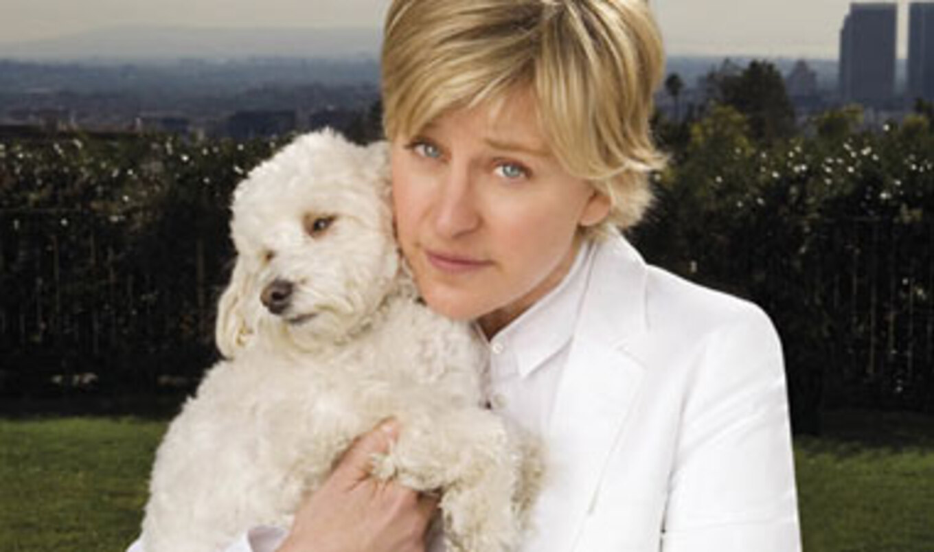 Ellen DeGeneres Makes December A No-Kill Month