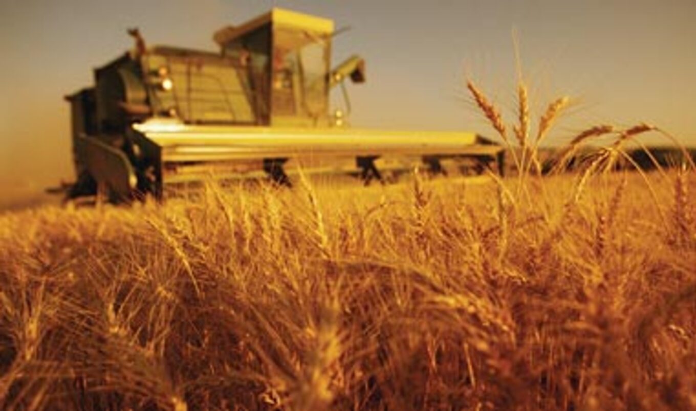 Study Finds Veganism Can Help Combat World Hunger