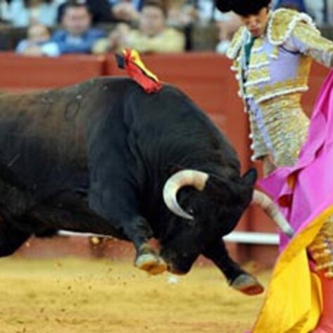 Bullfighting Banned in Catalonia
