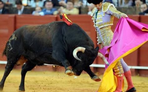 Spanish Town Trades Bulls for Books