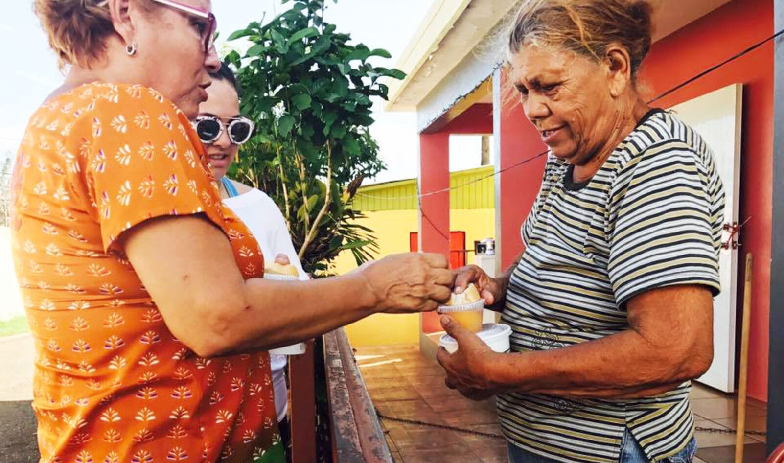 Million Dollar Vegan Campaign Donates $100k to Help Hurricane Survivors 