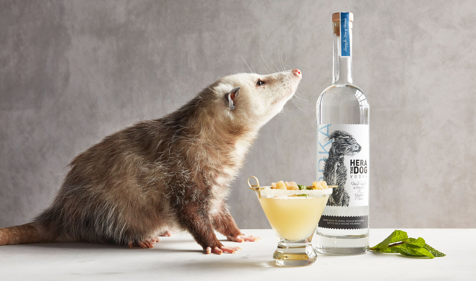 You Can Now Drink Vegan Vodka to Help Animals in Need&nbsp;