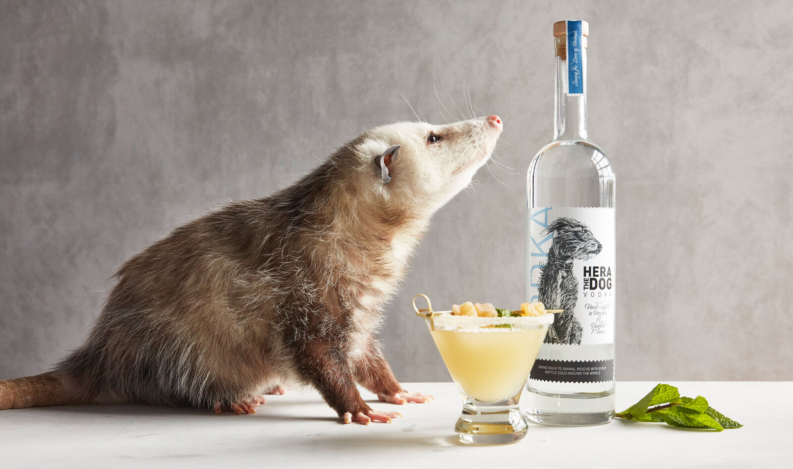 You Can Now Drink Vegan Vodka to Help Animals in Need 