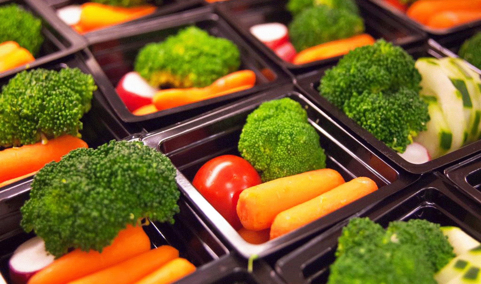 Scottish Schools Serve Vegan Meals to Resolve Human Rights Issue 