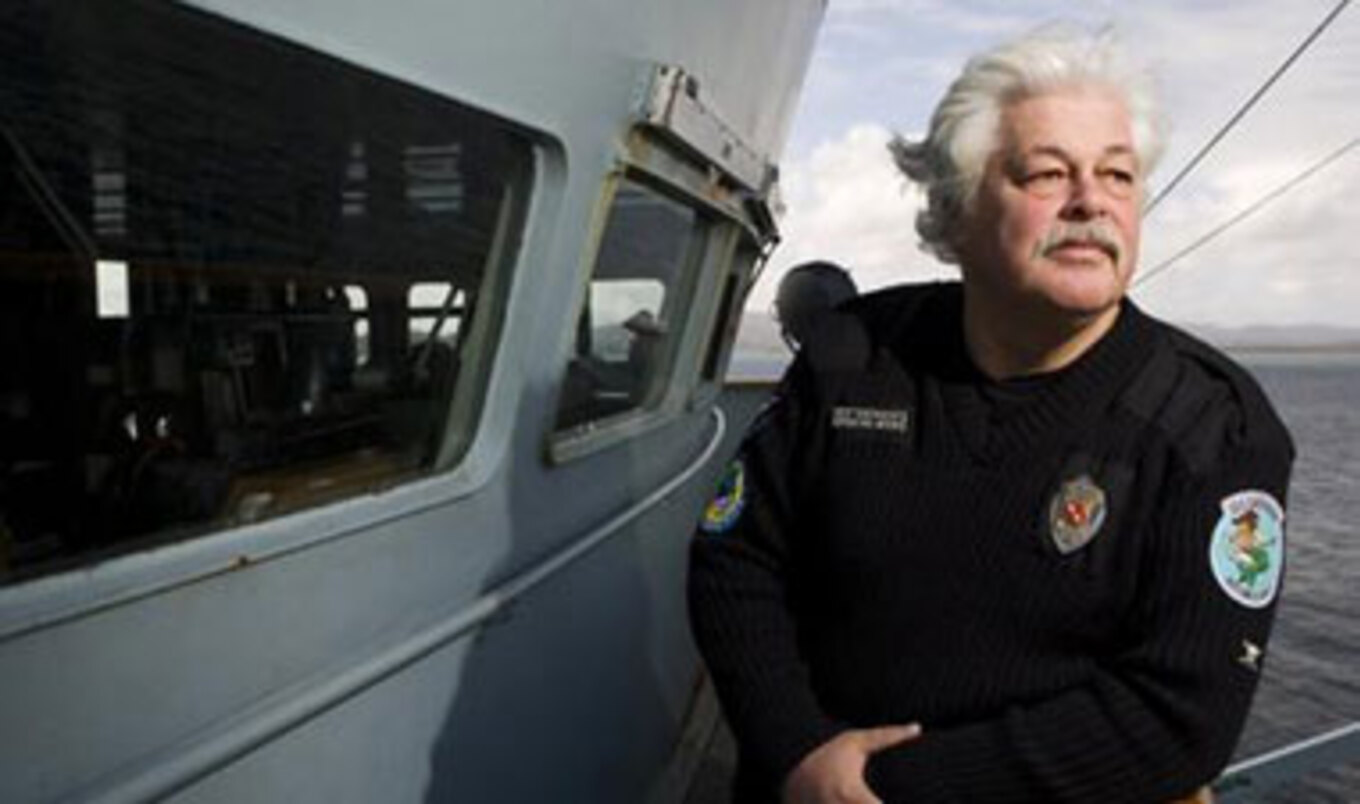 Sea Shepherd Art Sale