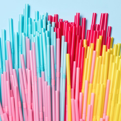 9 Ways to Cut Plastic From Your Life and Help Animals