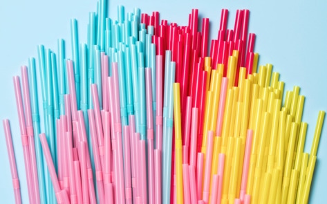 9 Ways to Cut Plastic From Your Life and Help Animals