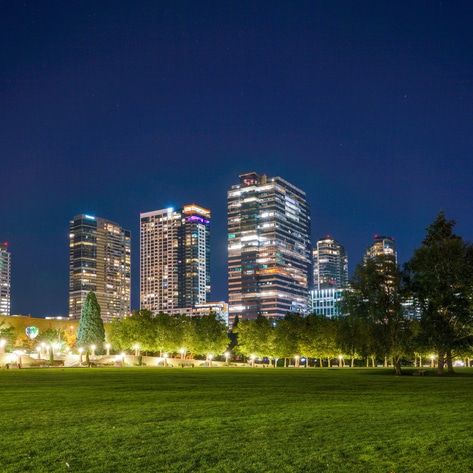 Bellevue, Washington: A Place to Discover Vegan Eats From Around the World 