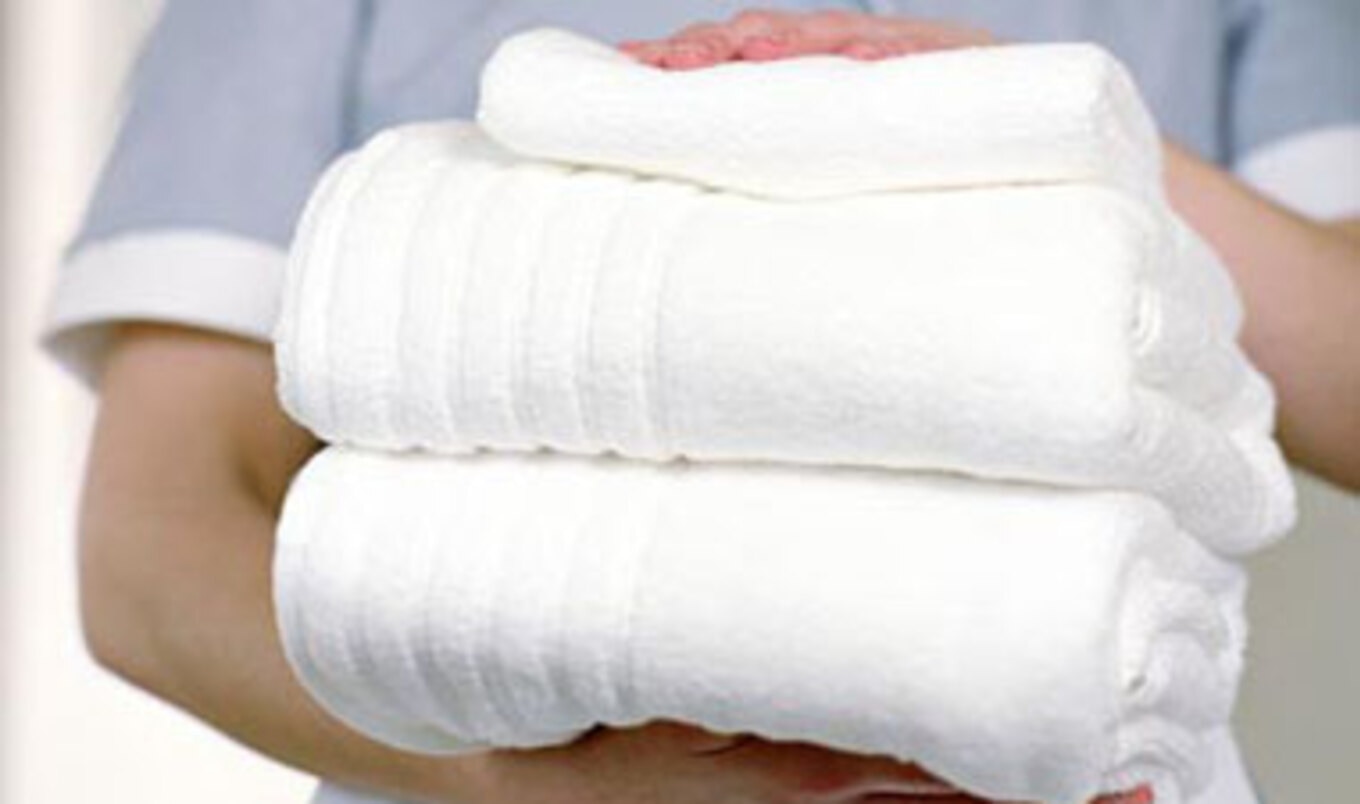 Downy Not Vegetarian