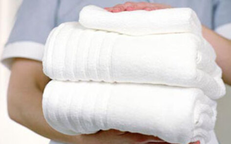 Downy Not Vegetarian