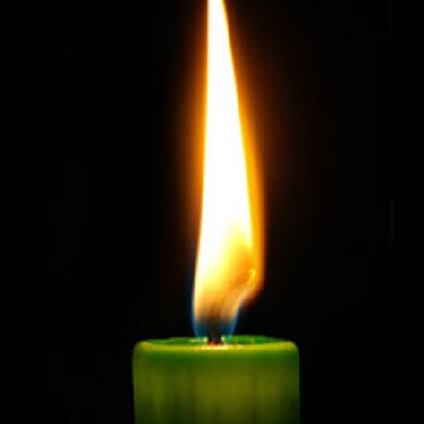 Gere Marches for Veg Cause