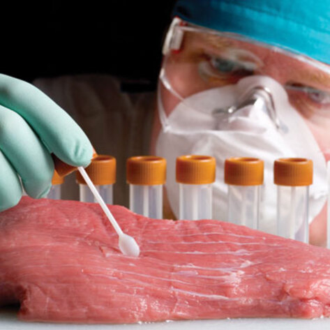 In Vitro Meat
