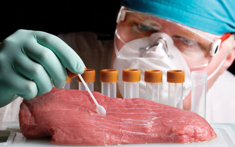 In Vitro Meat