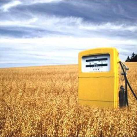 Bad Biofuel?
