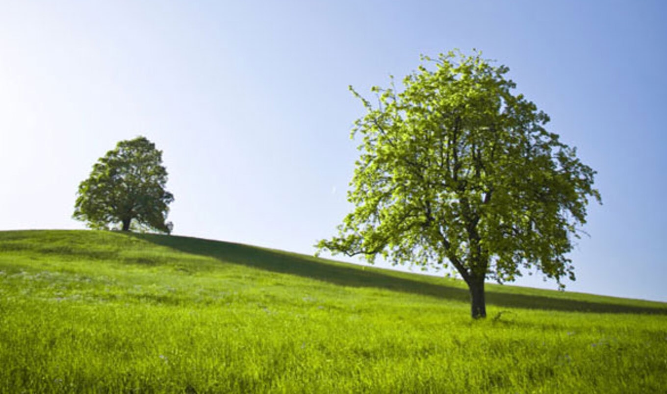 Greenwashing or Green?