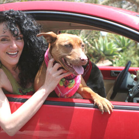 Animal-Rights Activist Karen Dawn