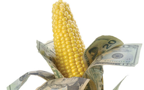 Surprising Farm Subsidies