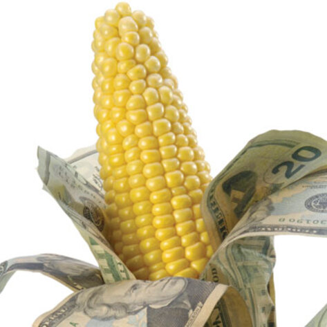 Surprising Farm Subsidies