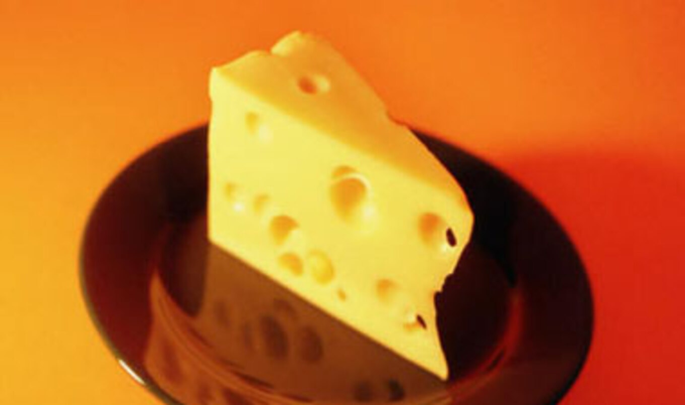 Animal Fats Linked to Cancer