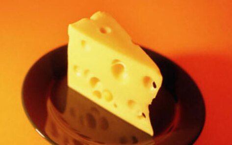 Animal Fats Linked to Cancer