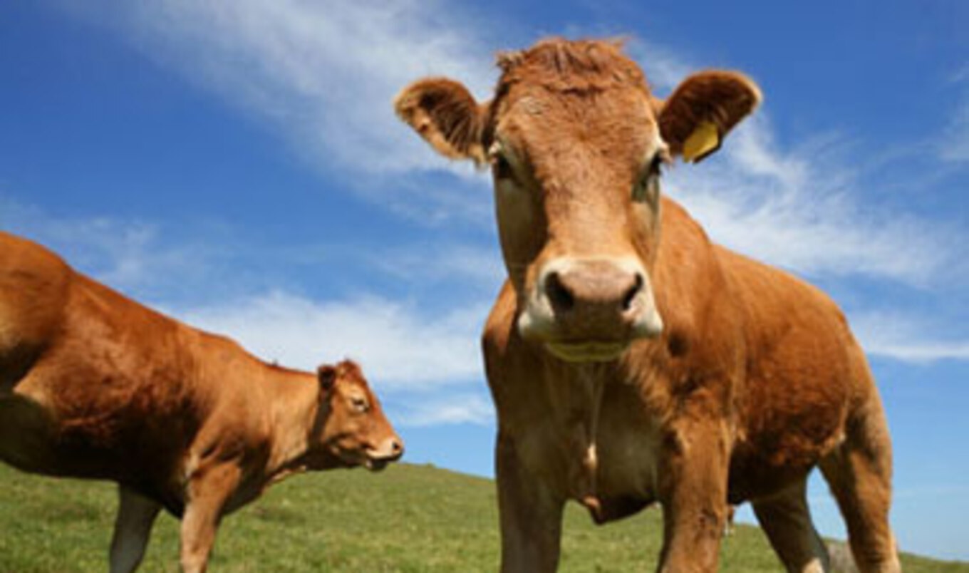 Methane Made into Electricity