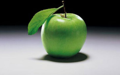 Maryland's First Eco School