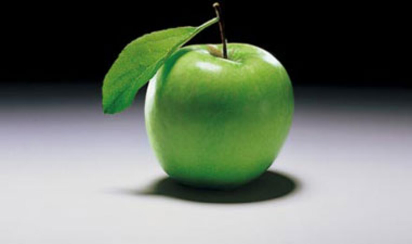 Maryland's First Eco School