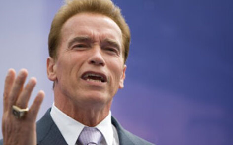 Schwarzenegger Villianized