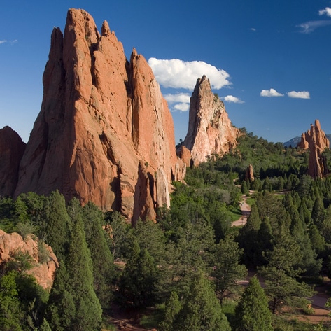 6 Reasons Colorado Springs Should Be on Every Vegan Fitness Lover’s Must-Visit List 