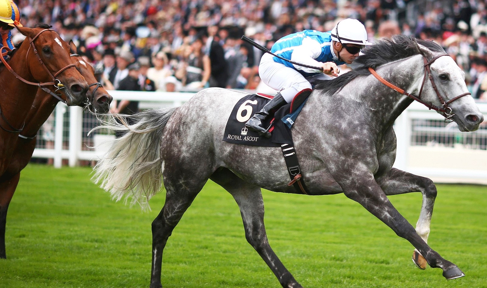 England’s Royal Horse Racing Event Adds Vegan Dishes to Menu This Year … Still Exploits Horses 