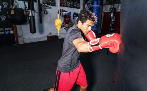 Philadelphia Gym Adds Leather-Free Bags to Attract Vegan Boxers