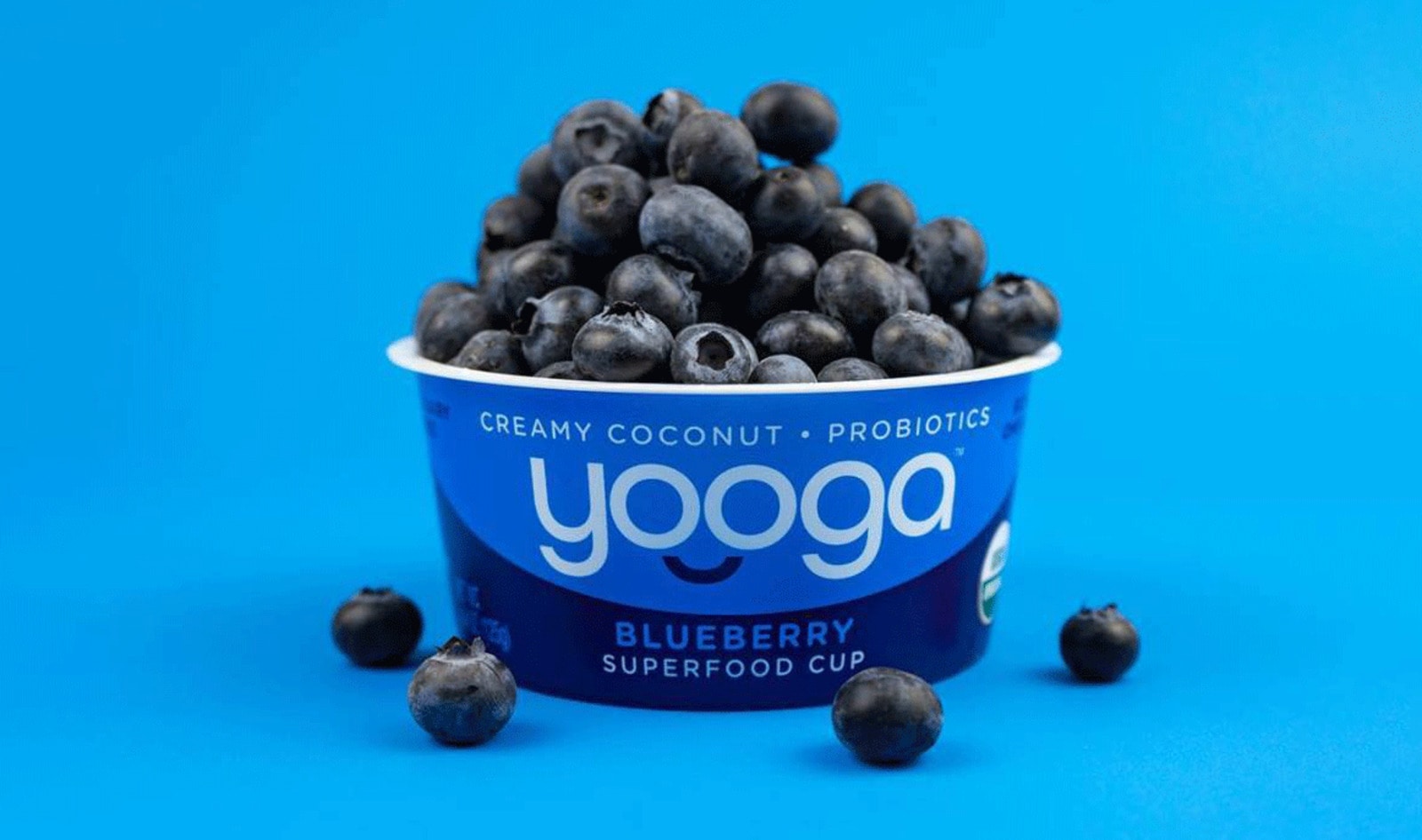 New Vegan Yogurt Launches at Walmart