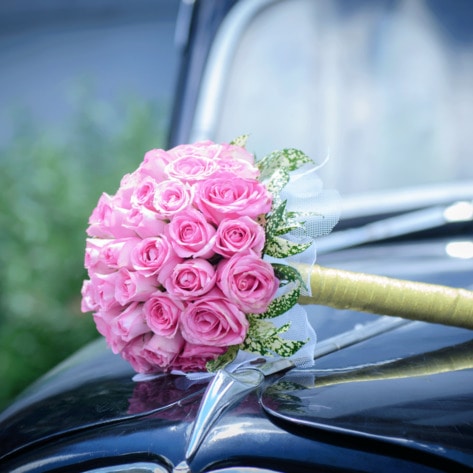 Vegan Weddings 2009