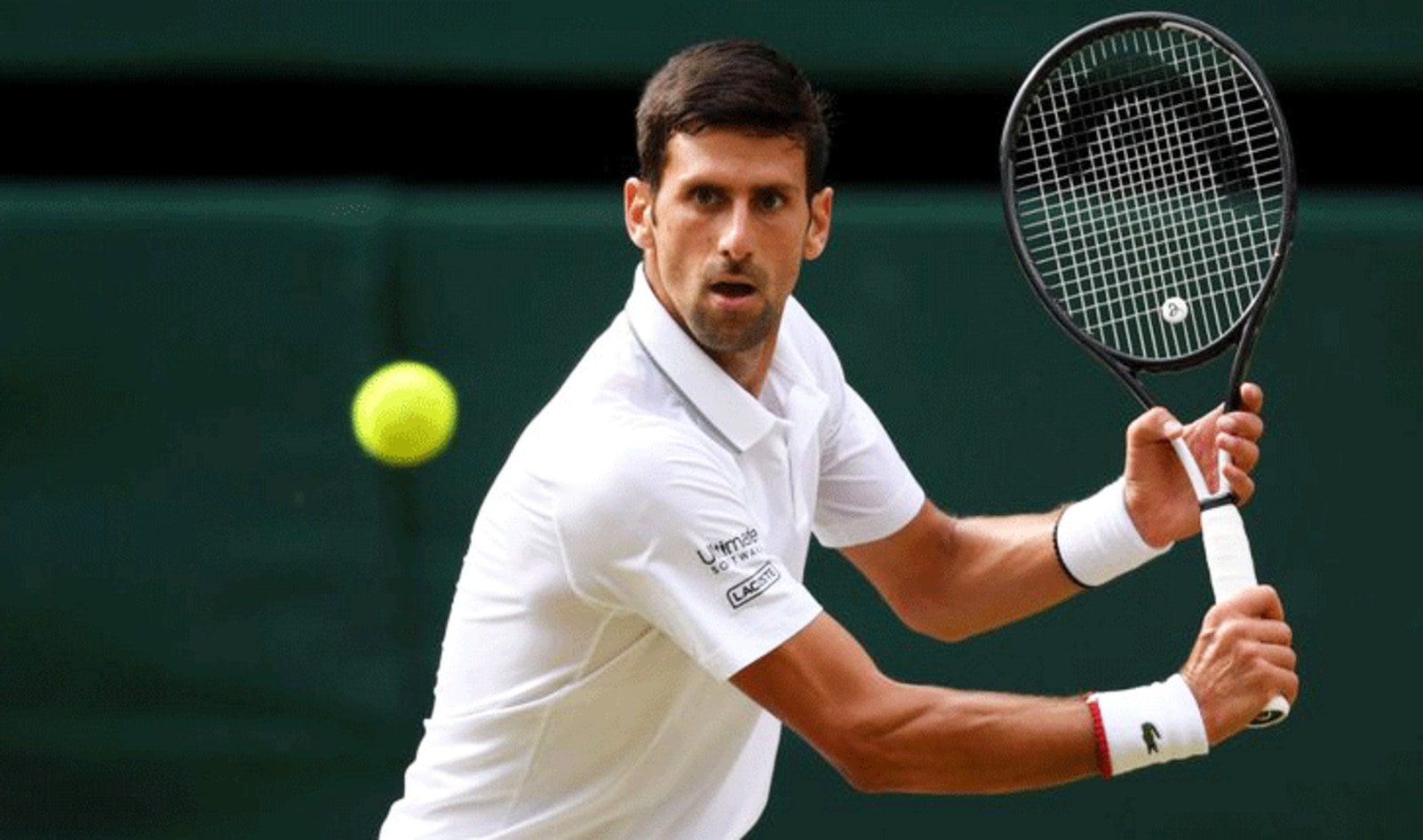 Novak Djokovic Wins Wimbledon on Plant-Based Diet